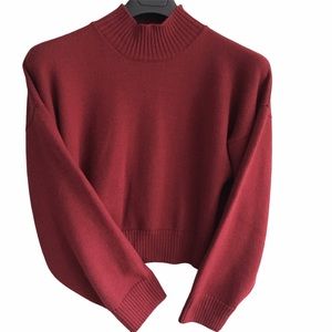 Eskandar Sweater Long Sleeve Crop Mock Merino Wool